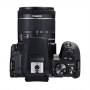 Canon EOS | 250D | Obiektyw EF-S 18-55mm IS STM | Brązowy | Srebrny - 12